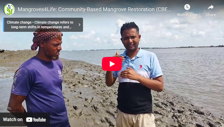 Mangroves4Life: Community-Based Mangrove Restoration (CBEMR) for Coastal Protection in Bangladesh
