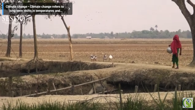 Climate Change Induced Water Crisis in Gabura, Bangladesh. || Safe Drinking Water for All – SESDO