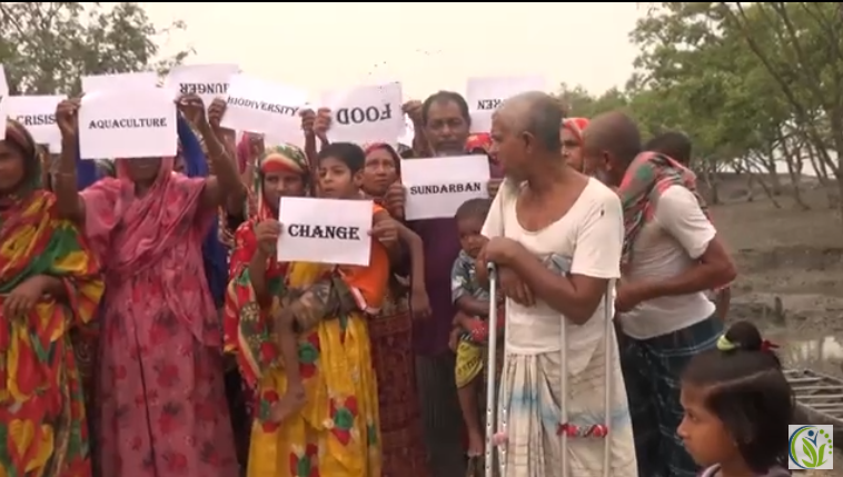 Impact of Climate Change: A Case Study on Gabura Union of Satkhira District - SESDO Bangladesh