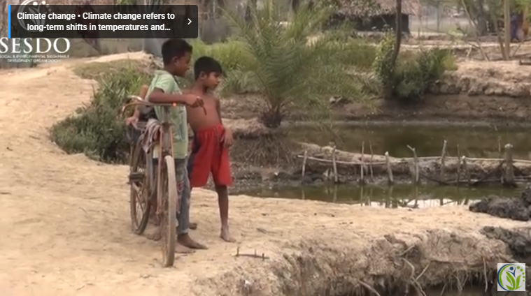 Climate Change Induced Health Crisis in Gabura, Bangladesh. || Free Medical Camp – SESDO