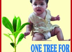 435403158_393223600269470_4657901014157230077_n 435403158_393223600269470_4657901014157230077_n