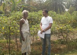 Agriculture SESDO Bangladesh Agriculture SESDO Bangladesh